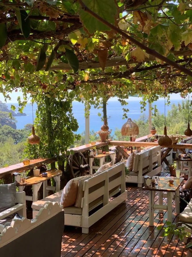 Hotel Turan Hill Lounge Faralya 4*,  Türkei