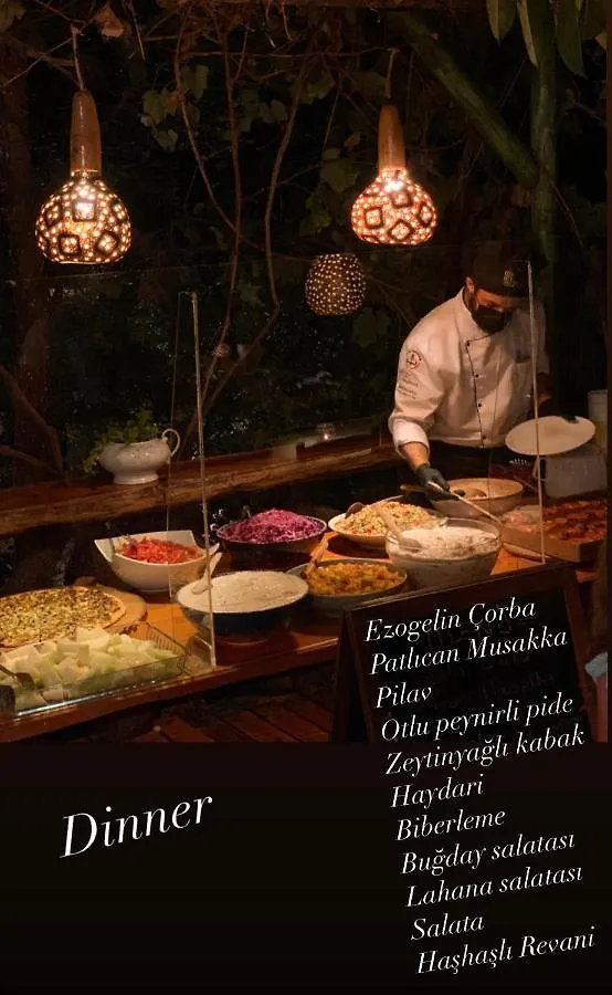 Hotel Turan Hill Lounge Faralya Türkei